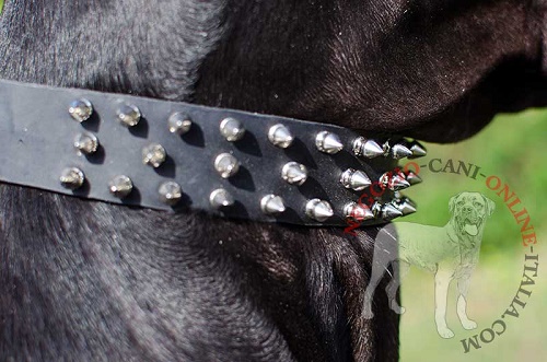 Collare in pelle "Spiked Holiday Collar" per Alano - Clicca l'immagine per chiudere