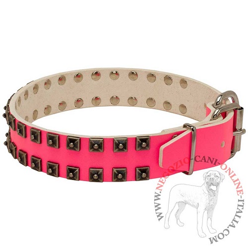 Collare in pelle rosa con due file di piramidi - Clicca l'immagine per chiudere