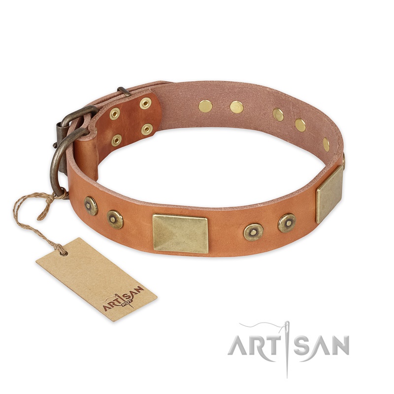 FDT Artisan - Collare di colore tan "The Middle Ages" per cane - Clicca l'immagine per chiudere