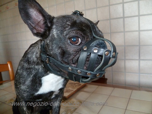 Museruola in pelle "Maximum Safety" per Bulldog Francese - Clicca l'immagine per chiudere