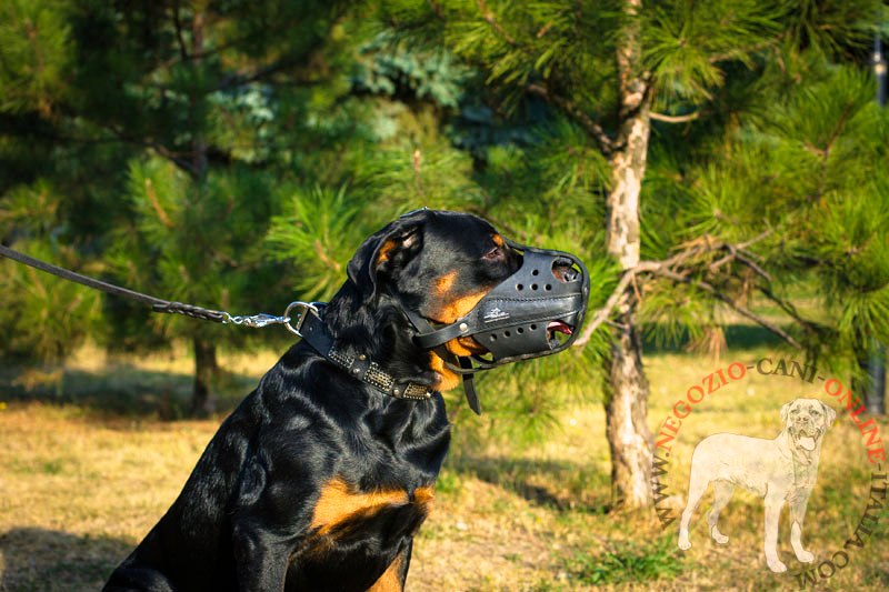 Museruola in cuoio "Agitation" per Rottweiler - Clicca l'immagine per chiudere