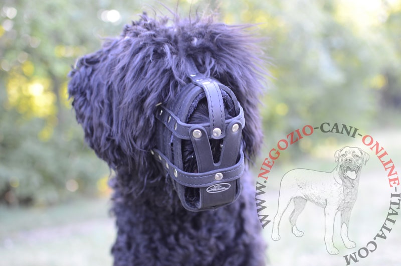 Museruola in pelle "Maximum Safety" per Terrier Nero Russo - Clicca l'immagine per chiudere