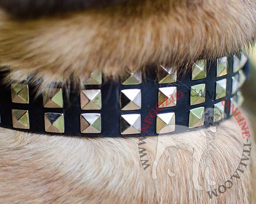 Collare in cuoio con tre file di piramidi per Cane Corso - Clicca l'immagine per chiudere