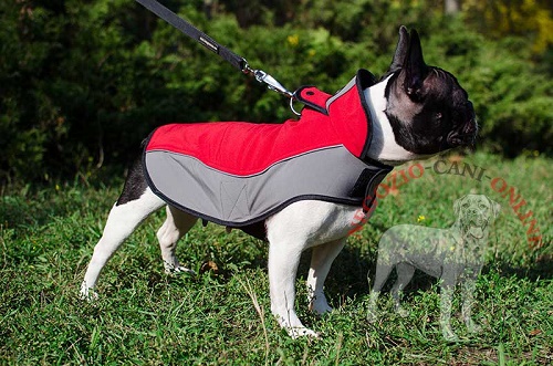 Mantello in nylon "Raincoat Cape" per Bulldog Francese - Clicca l'immagine per chiudere