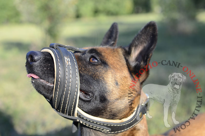 Museruola antiabbaio in cuoio "Everyday" per Malinois - Clicca l'immagine per chiudere