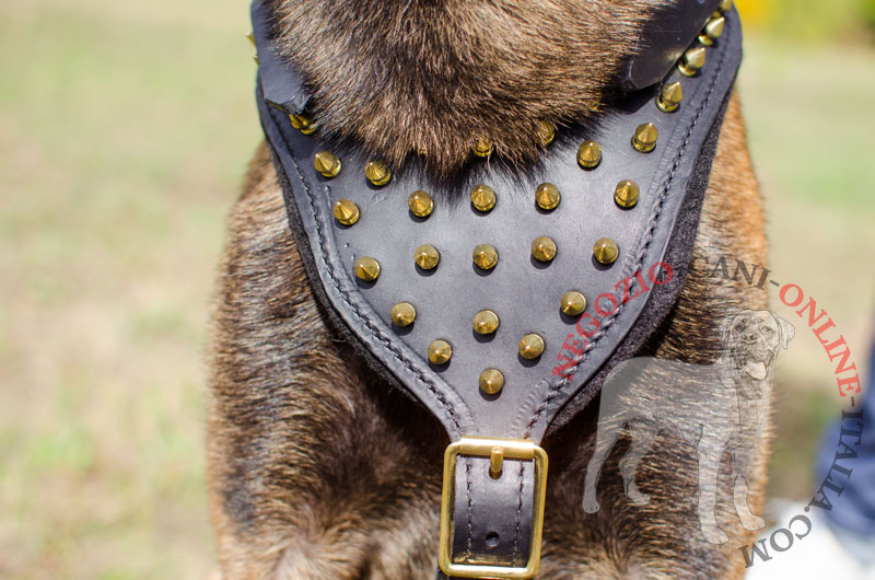 Pettorina in pelle con borchie a punta in ottone per Malinois - Clicca l'immagine per chiudere