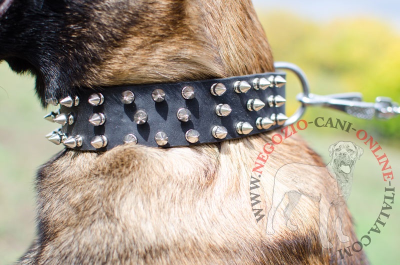 Collare in pelle "Spiked Holiday Collar" per Malinois - Clicca l'immagine per chiudere