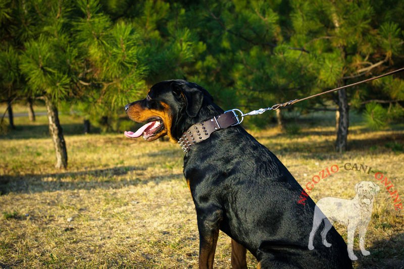 Collare in vera pelle largo 7 cm "Gladiator" per Rottweiler - Clicca l'immagine per chiudere