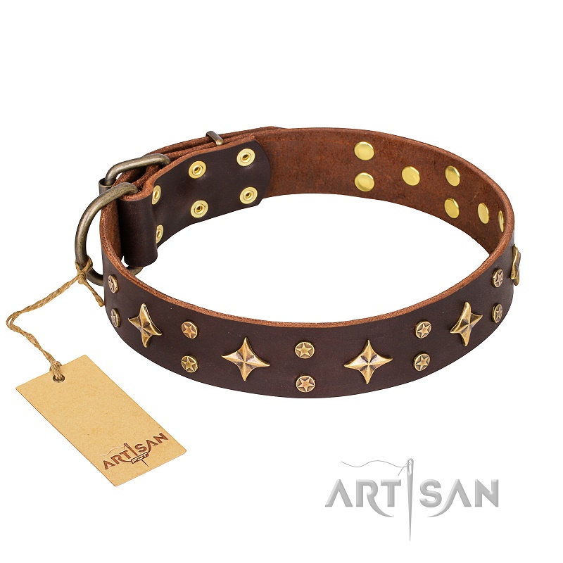 FDT Artisan - esclusivo collare "High Fashion" per cane - Clicca l'immagine per chiudere