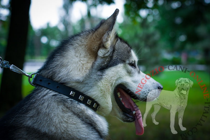 Collare in pelle "Tetrahedron" per Alaskan Malamute - Clicca l'immagine per chiudere