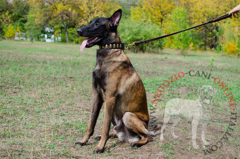 Collare in pelle con decorazioni "Column Style" per Malinois - Clicca l'immagine per chiudere