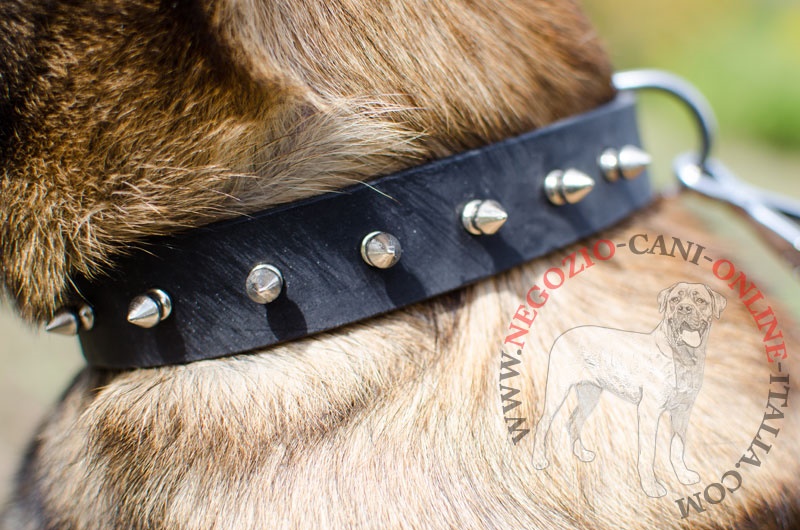 Collare in pelle con borchie a punta "Bow-Wow" per Malinois - Clicca l'immagine per chiudere