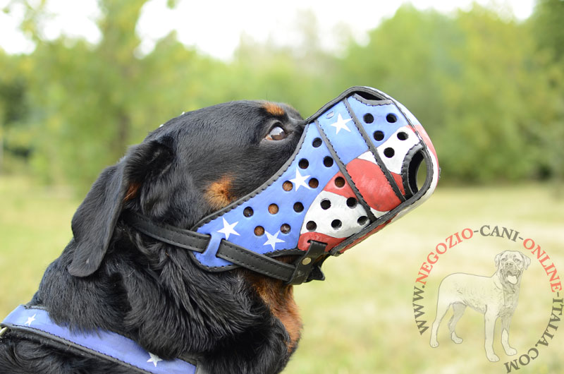 Museruola dipinta a mano "American Flag" per Rottweiler - Clicca l'immagine per chiudere