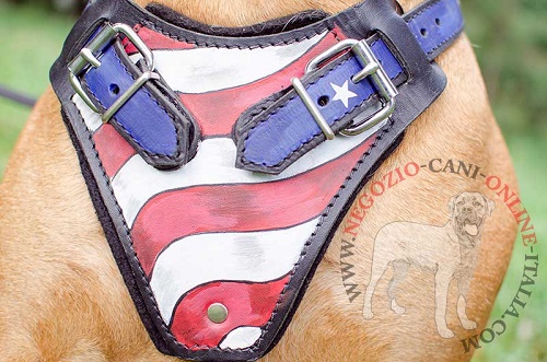 Pettorina dipinta a mano "Bandiera americana" per Bullmastiff - Clicca l'immagine per chiudere