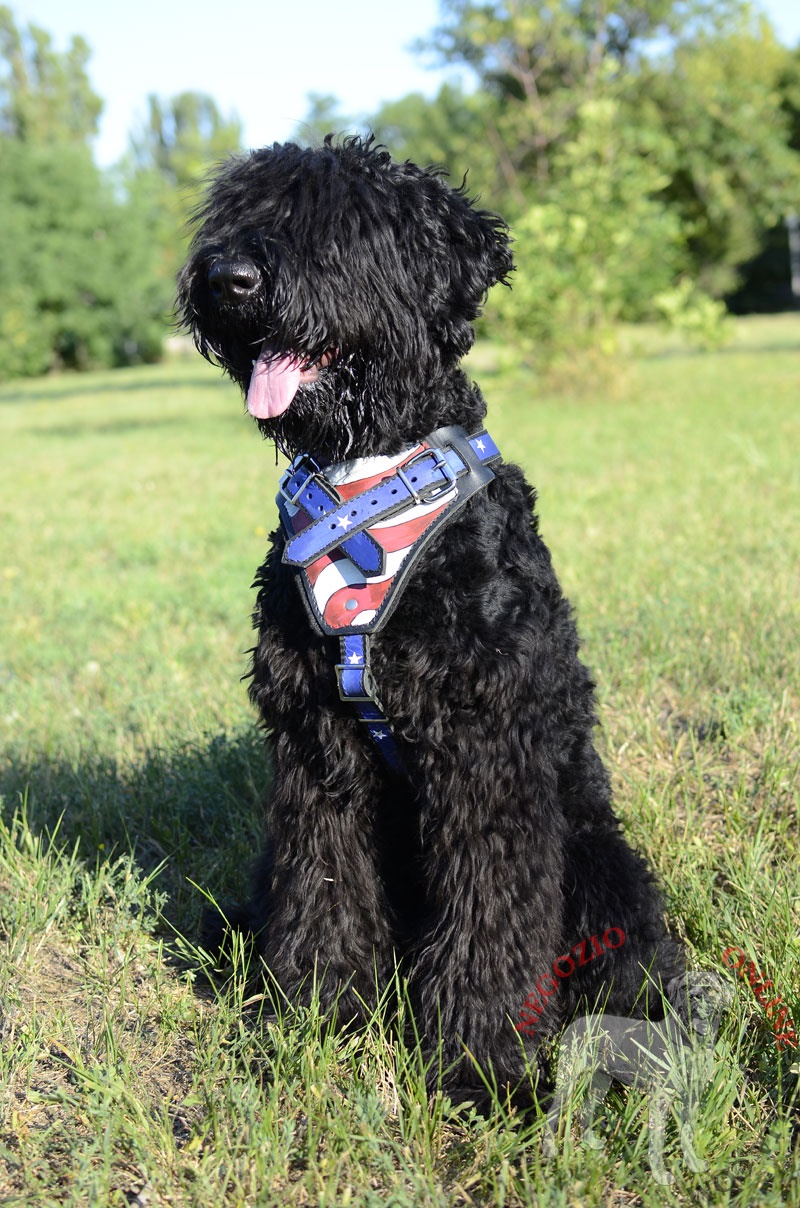 Pettorina dipinta "Bandiera americana" per Terrier Nero Russo - Clicca l'immagine per chiudere