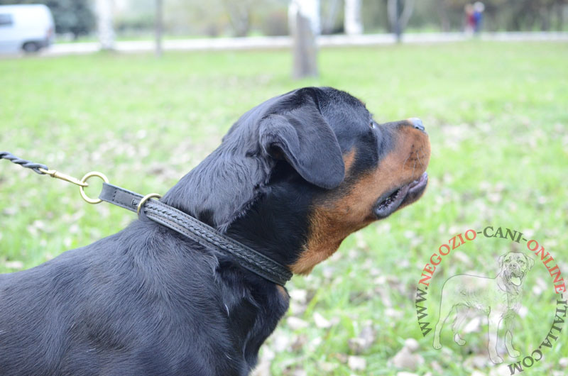 Collare a strozzo in cuoio doppio "Rattlesnake" per Rottweiler - Clicca l'immagine per chiudere