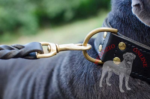 Affidabile collare in cuoio doppio per Mastino Napoletano - Clicca l'immagine per chiudere