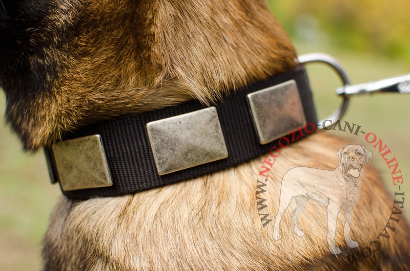 Collare in nylon "Concrete slabs" per Malinois - Clicca l'immagine per chiudere