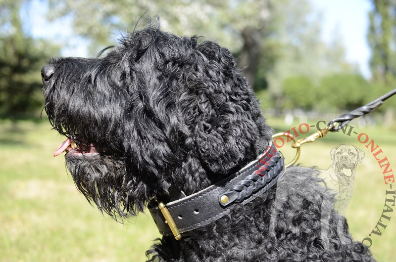 Collare in pelle doppia "Braided Classic" per Terrier Nero Russo - Clicca l'immagine per chiudere