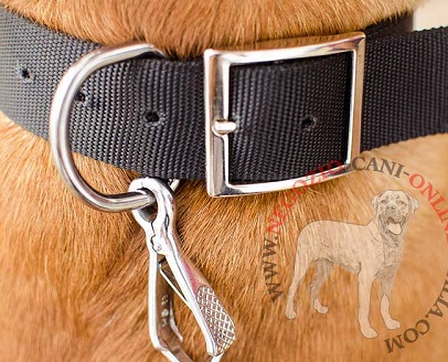 Leggero e resistente collare in nylon per Dogue de Bordeaux - Clicca l'immagine per chiudere