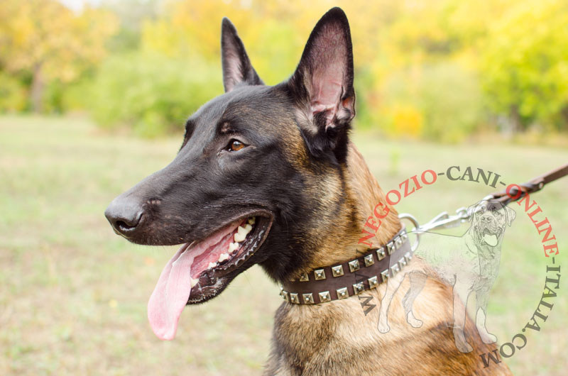 Collare in cuoio con decorazioni "Loving Heart" per Malinois - Clicca l'immagine per chiudere