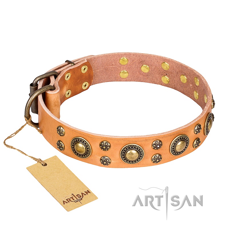 FDT Artisan - Collare in cuoio "Sophisticated Glamor" per cane - Clicca l'immagine per chiudere
