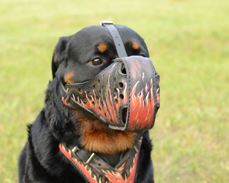 Esclusiva museruola con disegno di fiamma per Rottweiler - Clicca l'immagine per chiudere