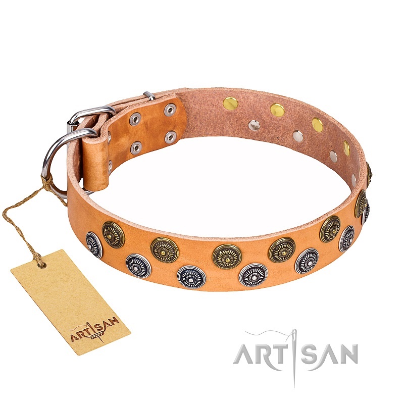 FDT Artisan - Collare in vera pelle "Precious Spark" per cane - Clicca l'immagine per chiudere