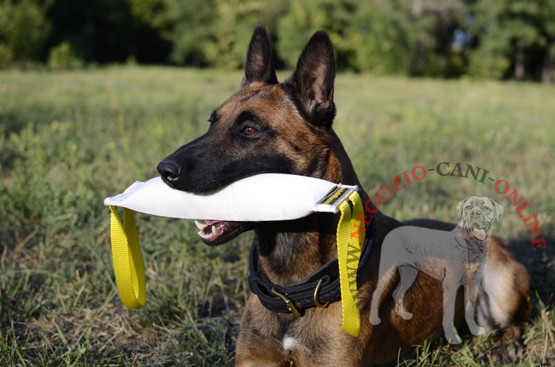 Tug in gomma "Interactive game" per Malinois - Clicca l'immagine per chiudere