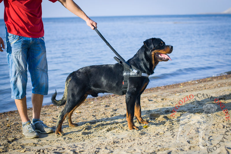 Pettorina in nylon "Faithful ally" per Rottweiler cane guida - Clicca l'immagine per chiudere