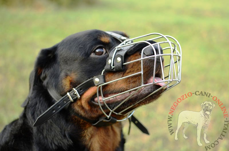 Museruola a cestello "Universal" per Rottweiler - Clicca l'immagine per chiudere