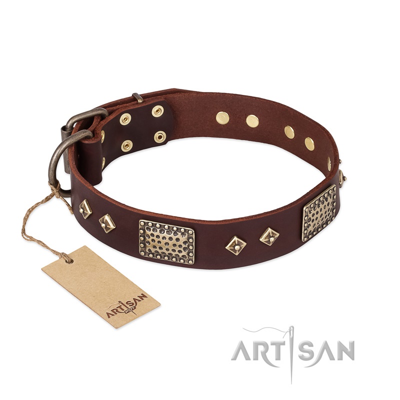 FDT Artisan - Collare in cuoio marrone "Loving Owner" per cane - Clicca l'immagine per chiudere