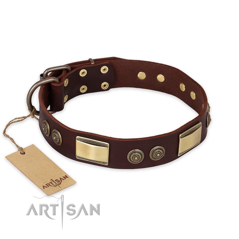 FDT Artisan - Collare in pelle marrone "Golden Stones" per cane - Clicca l'immagine per chiudere