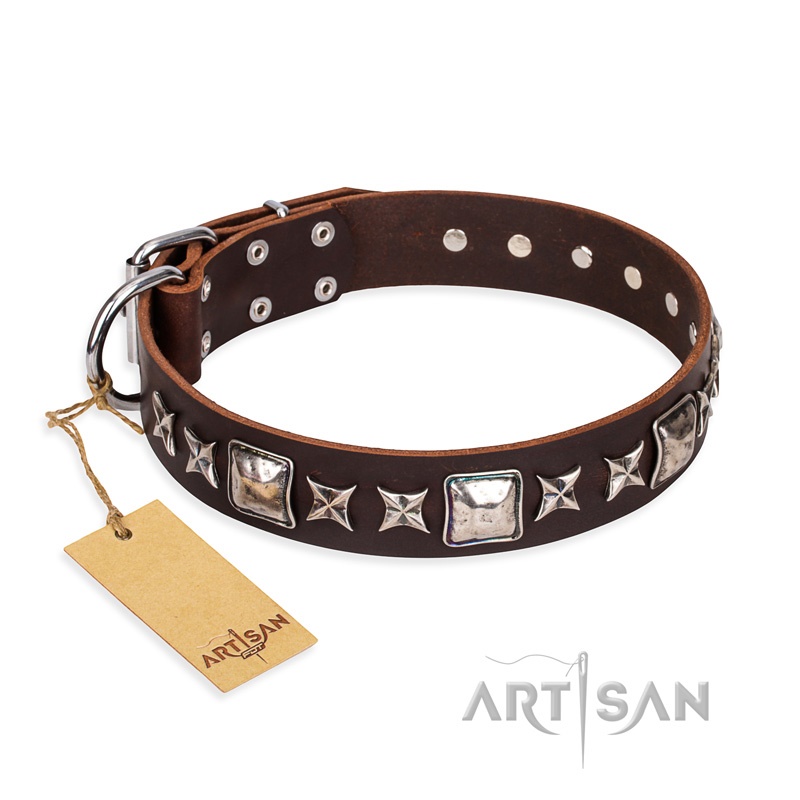 FDT Artisan - Collare marrone "Perfect Impression" per cane - Clicca l'immagine per chiudere