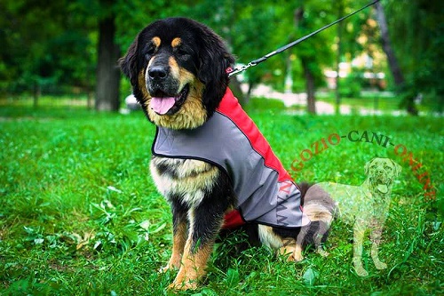 Cappottino impermeabile "Raincoat Cape" per Mastiff - Clicca l'immagine per chiudere