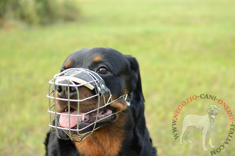 Museruola in metallo a cestello "Breath" per Rottweiler - Clicca l'immagine per chiudere