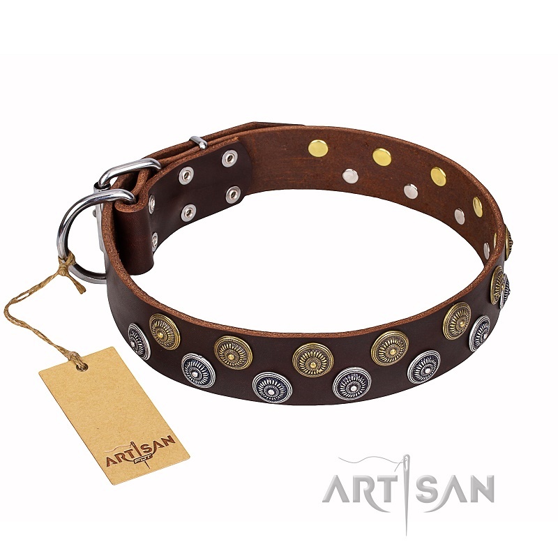 FDT Artisan - Collare in cuoio marrone "Strong Shields" per cane - Clicca l'immagine per chiudere