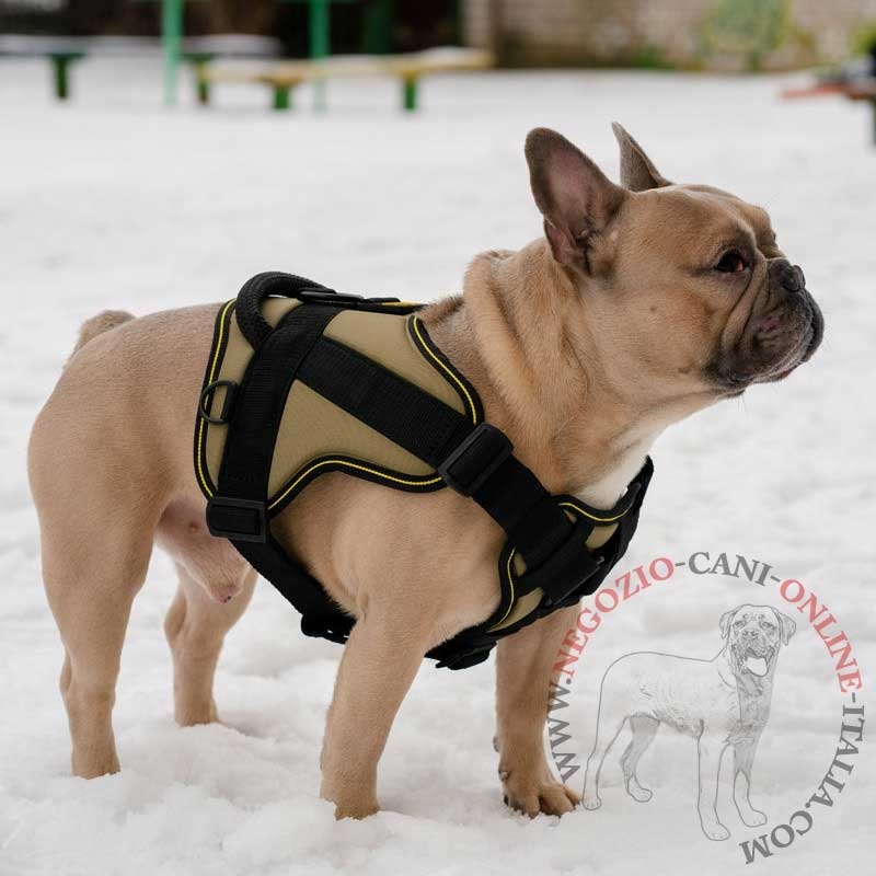 Pettorina Walking Day / pettorina per Bulldog Francese - €73.0