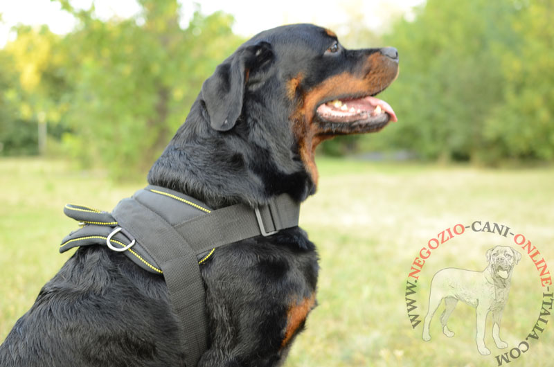 Pettorina multiuso in nylon "Sport Life" per Rottweiler - Clicca l'immagine per chiudere