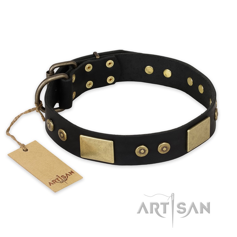 FDT Artisan - Collare in cuoio nero "Spanish night" per cane - Clicca l'immagine per chiudere