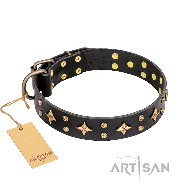 FDT Artisan - Collare in vero cuoio nero "A La Mode" per cane - Clicca l'immagine per chiudere