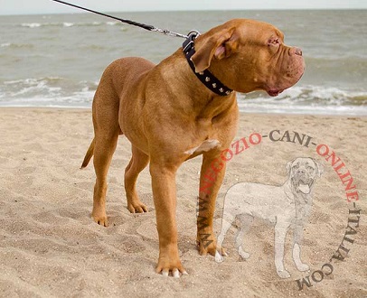 Collare in cuoio decorato con piramidi per Dogue de Bordeaux - Clicca l'immagine per chiudere