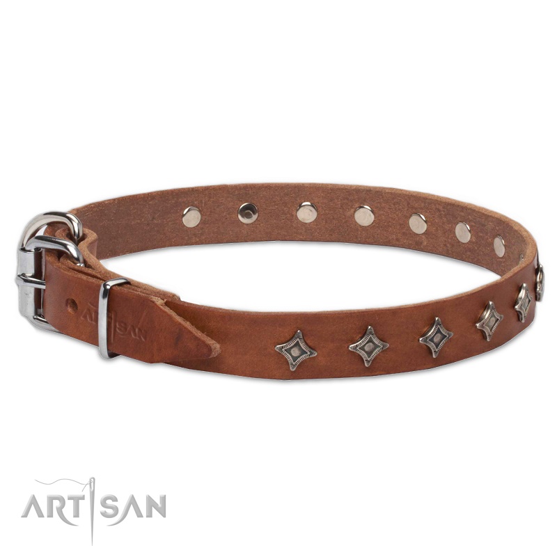 FDT Artisan - Collare "North Star" per cane, largo 2,5 cm - Clicca l'immagine per chiudere