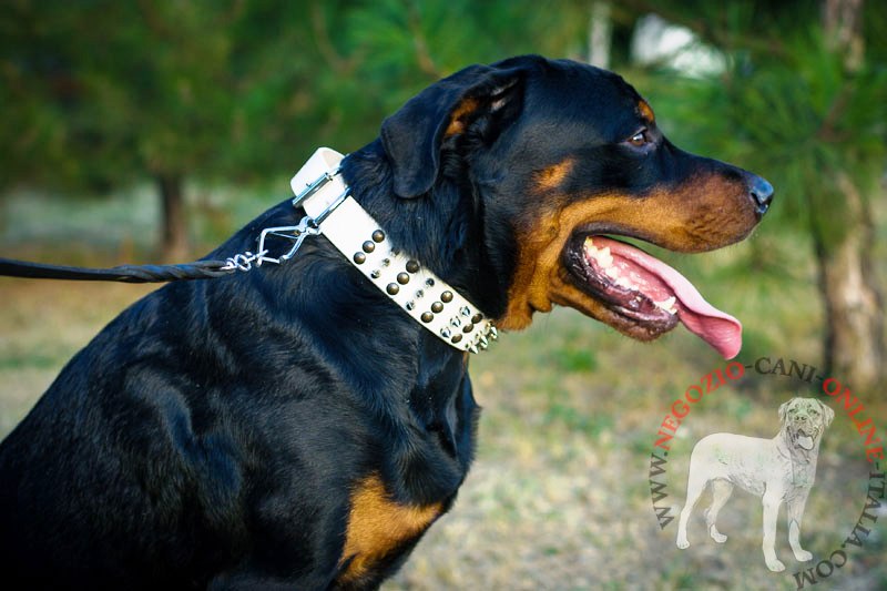 Collare bianco in pelle con decorazioni miste per Rottweiler - Clicca l'immagine per chiudere
