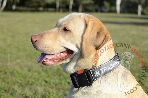 Collare in nylon "Special Friend" per Labrador Retriever - Clicca l'immagine per chiudere