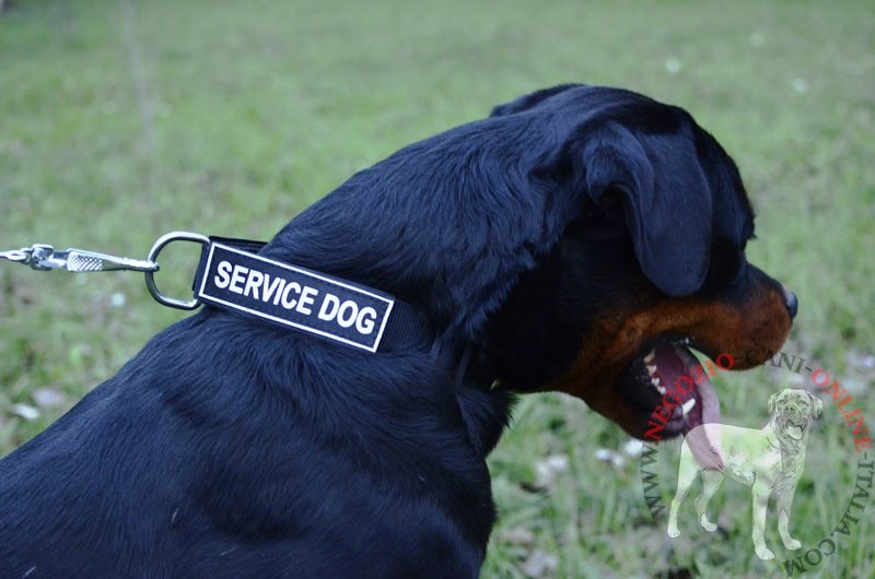 Collare in nylon regolabile "Special Friend" per Rottweiler - Clicca l'immagine per chiudere