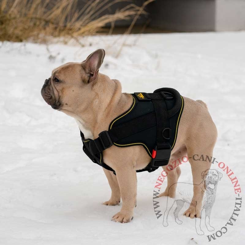 Pettorina in nylon "Tractive Force" per Bulldog Francese - Clicca l'immagine per chiudere