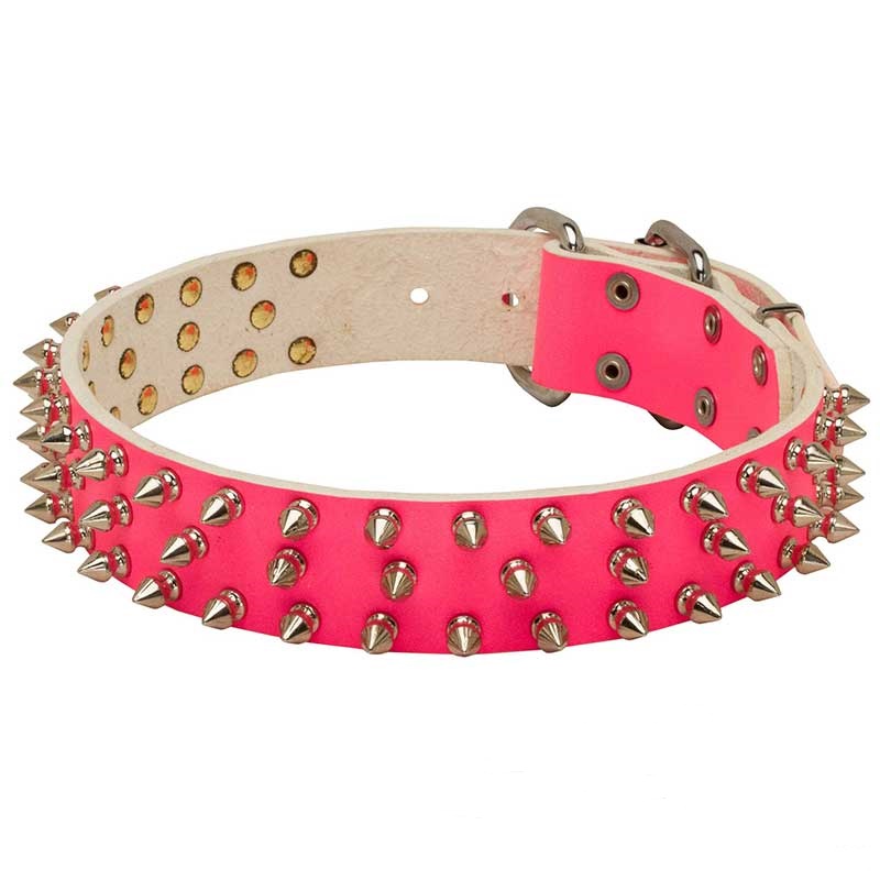 Collare rosa borchiato "Spiked Holiday Collar Pink" per cani - Clicca l'immagine per chiudere