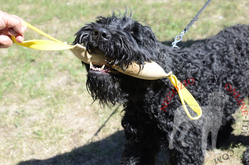 Riporto da mordere in vera pelle per Terrier Nero Russo - Clicca l'immagine per chiudere