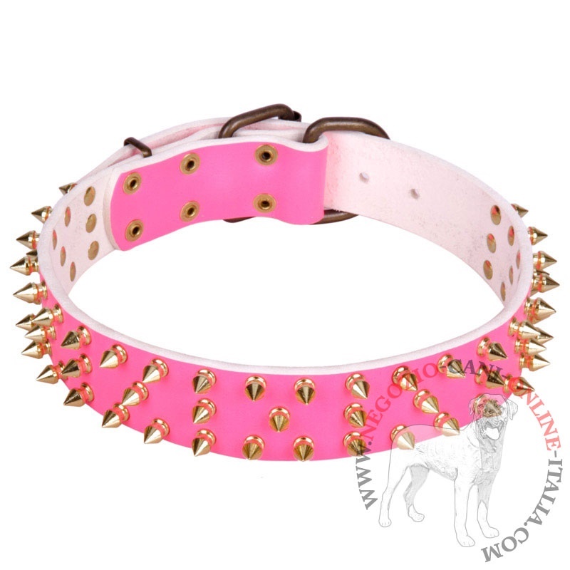 Collare rosa con borchie dorate "Pick Happiness" per cani - Clicca l'immagine per chiudere